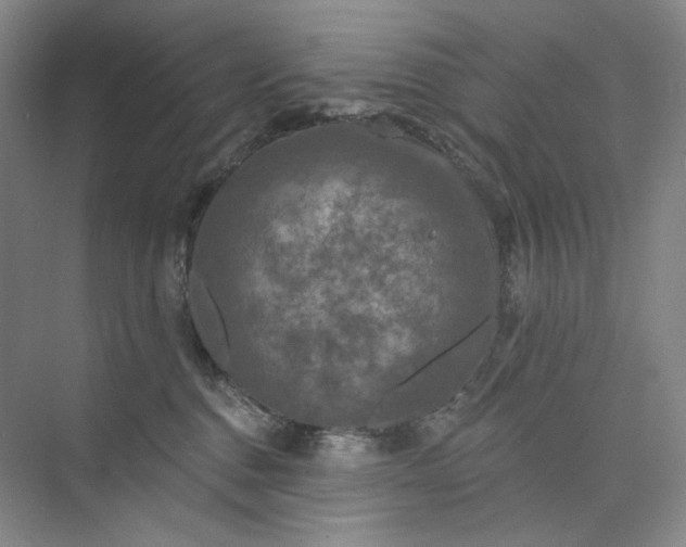 X0000075900376200609291738