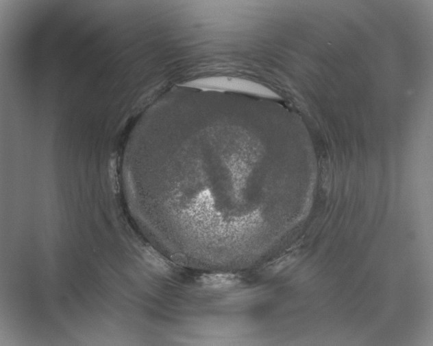 X0000075900378200609291738