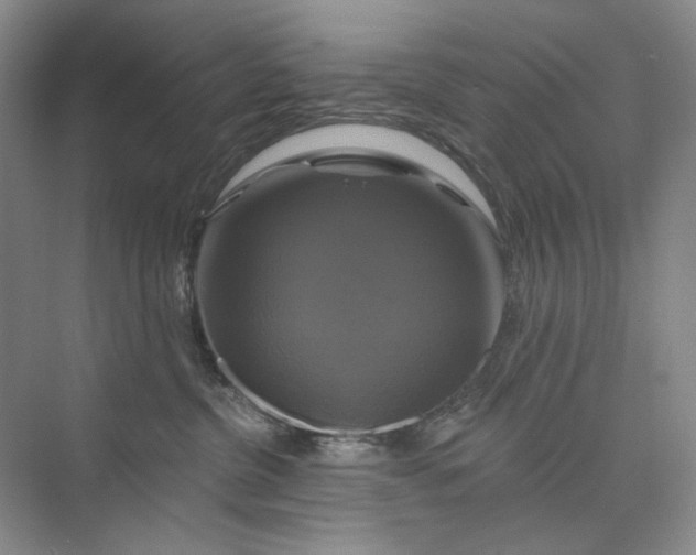 X0000075900380200609291738