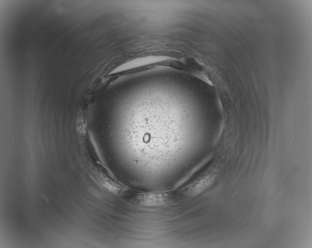 X0000075900384200609291738