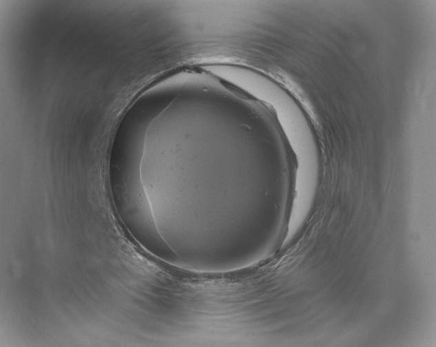 X0000075900385200609291737