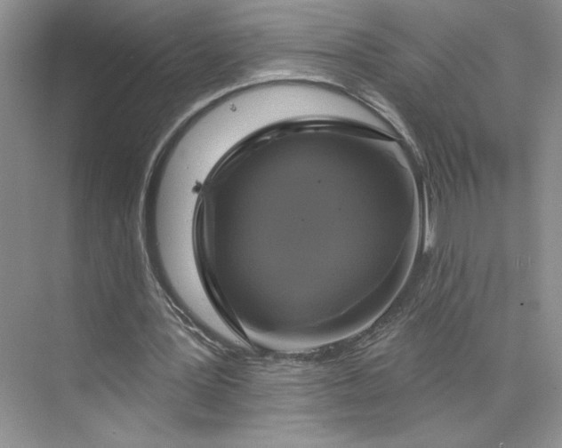 X0000075900387200609291737