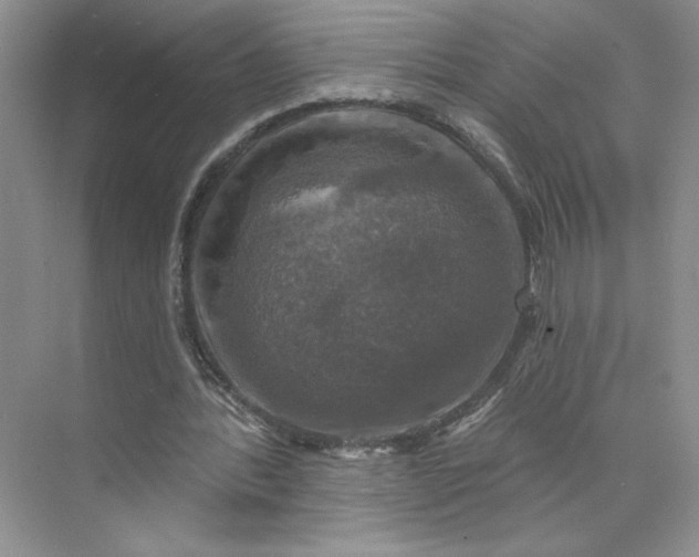 X0000075900388200609291737