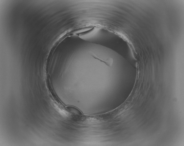 X0000075900390200609291737