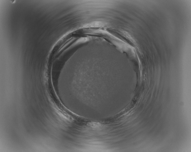 X0000075900392200609291737