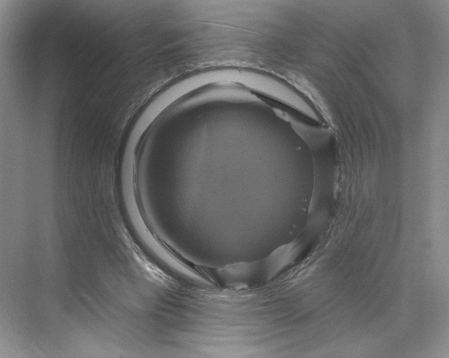 X0000075900393200609291737