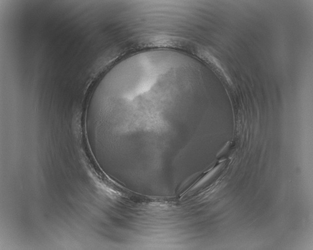 X0000075900394200609291737