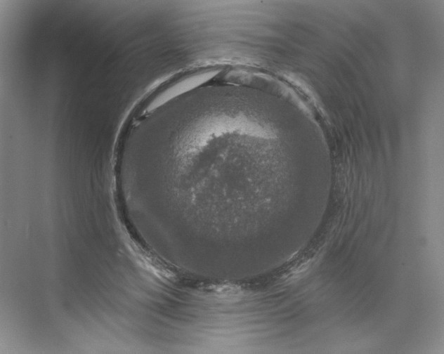 X0000075900395200609291737