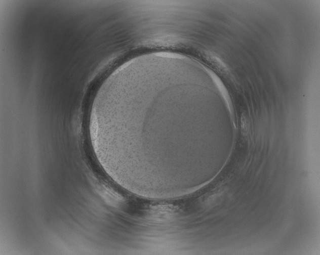 X0000075900396200609291737