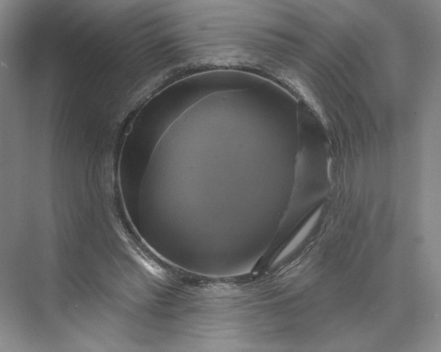 X0000075900397200609291737