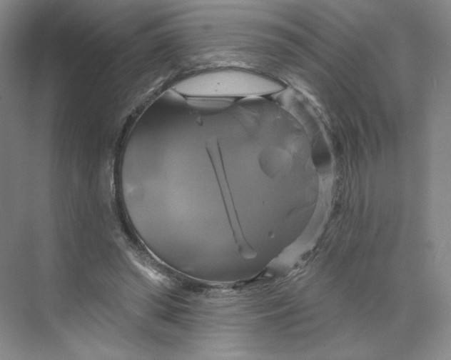 X0000075900398200609291737