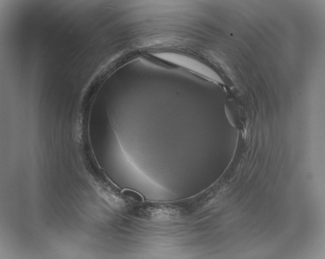 X0000075900400200609291737