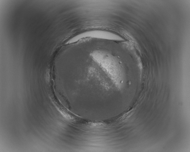 X0000075900401200609291737