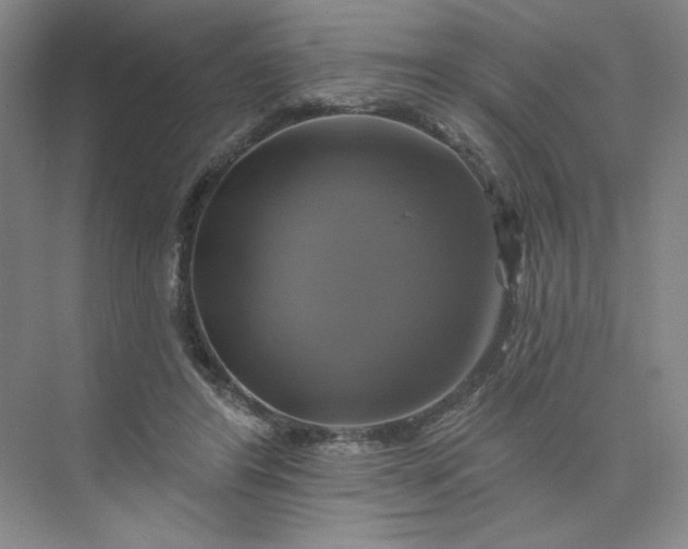 X0000075900404200609291737