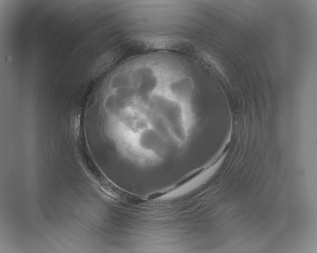 X0000075900406200609291737