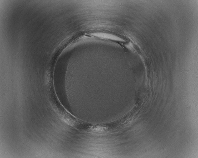 X0000075900407200609291737