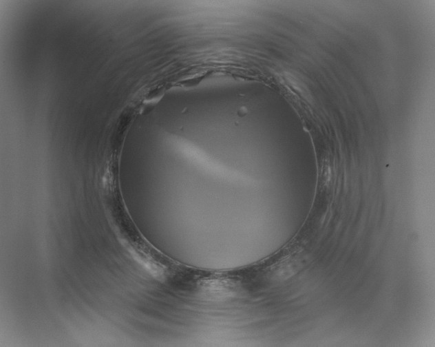 X0000075900408200609291737