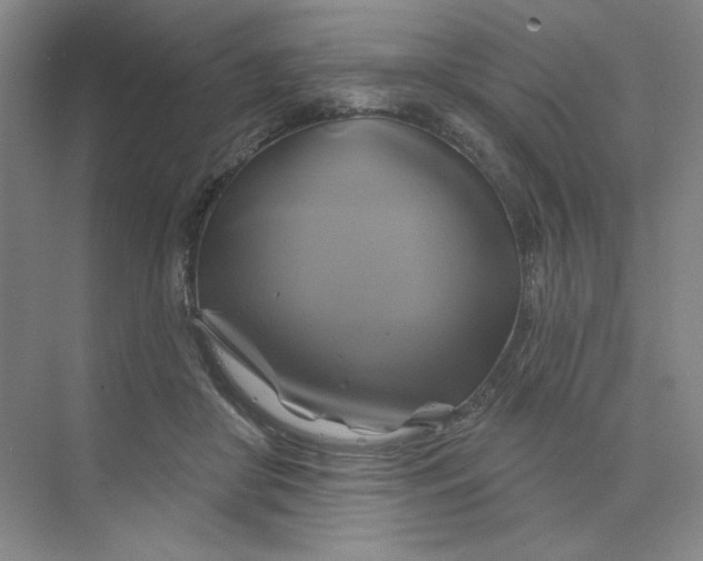 X0000075900410200609291737