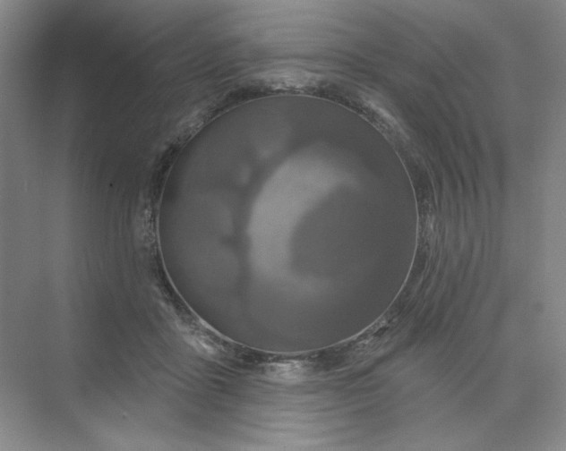 X0000075900411200609291737