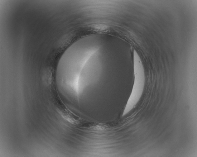 X0000075900412200609291737