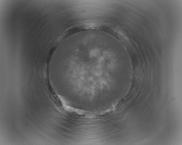 X0000075900413200609291737