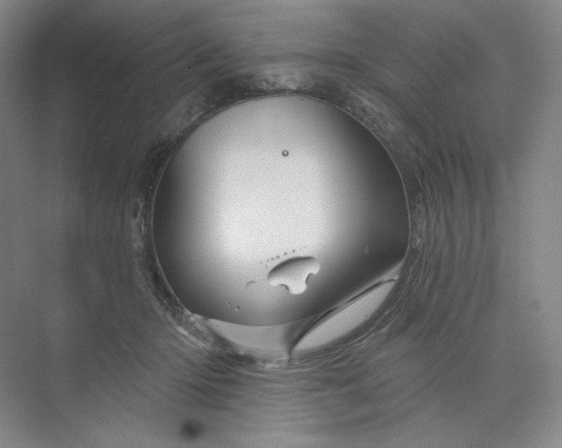 X0000075900414200609291737