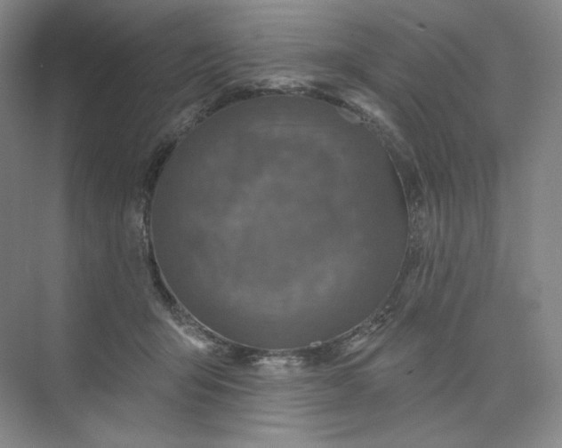 X0000075900415200609291737