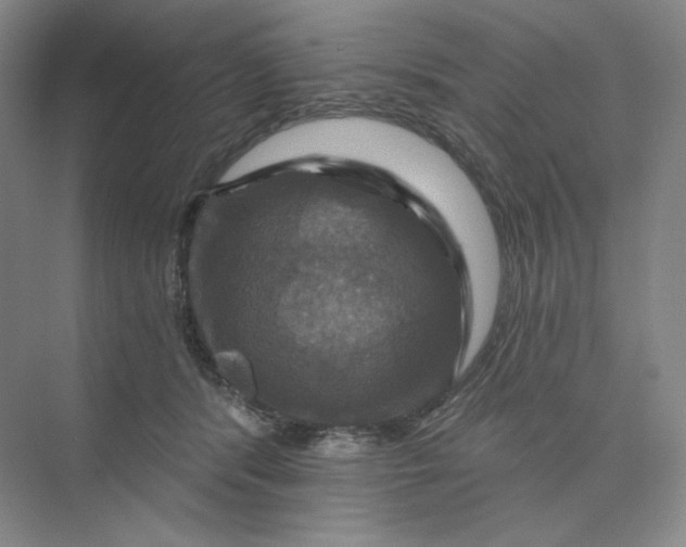 X0000075900416200609291737