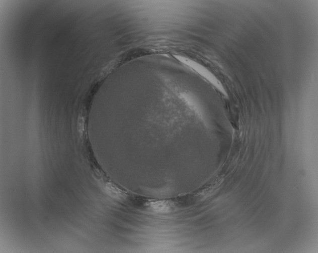 X0000075900417200609291737