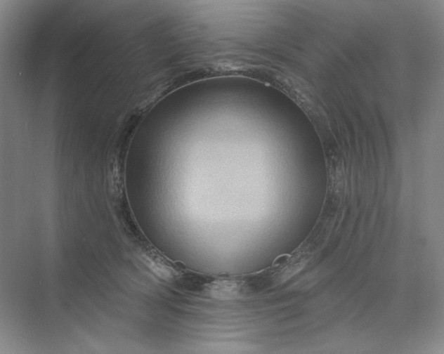 X0000075900418200609291737