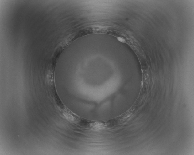 X0000075900419200609291737