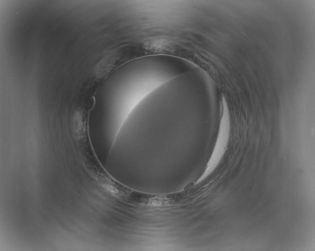 X0000075900420200609291737