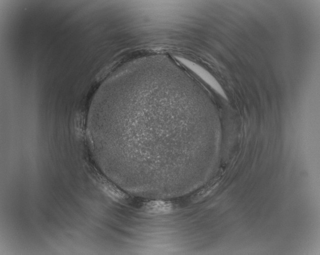 X0000075900421200609291737