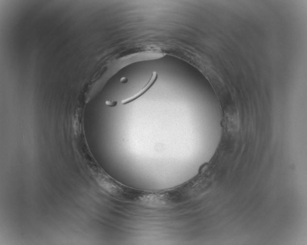 X0000075900422200609291737