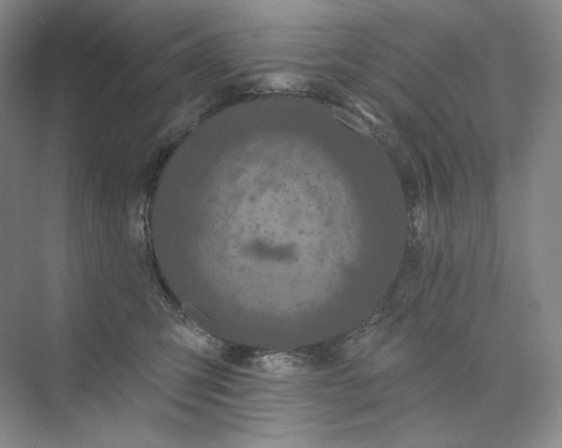 X0000075900423200609291737