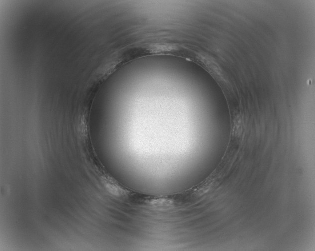 X0000075900426200609291737