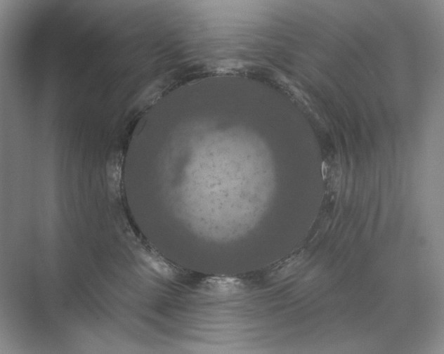 X0000075900427200609291737