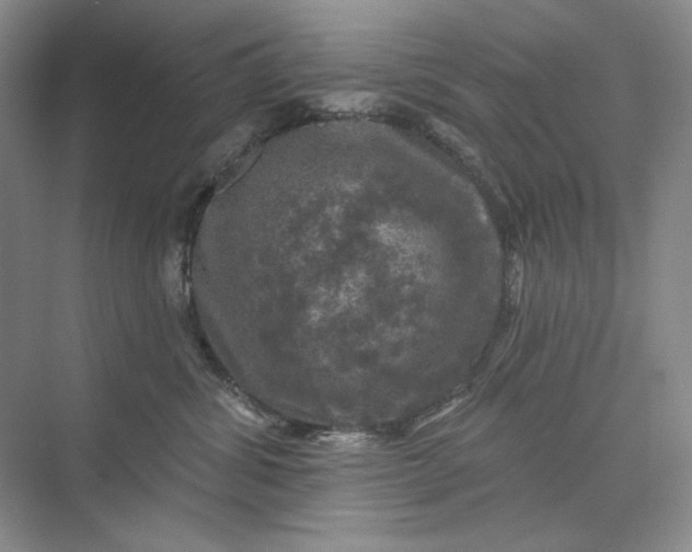 X0000075900428200609291737