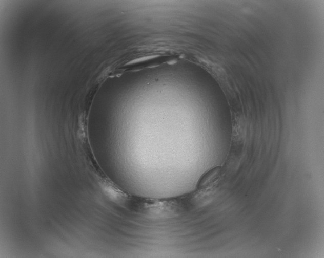 X0000075900430200609291737