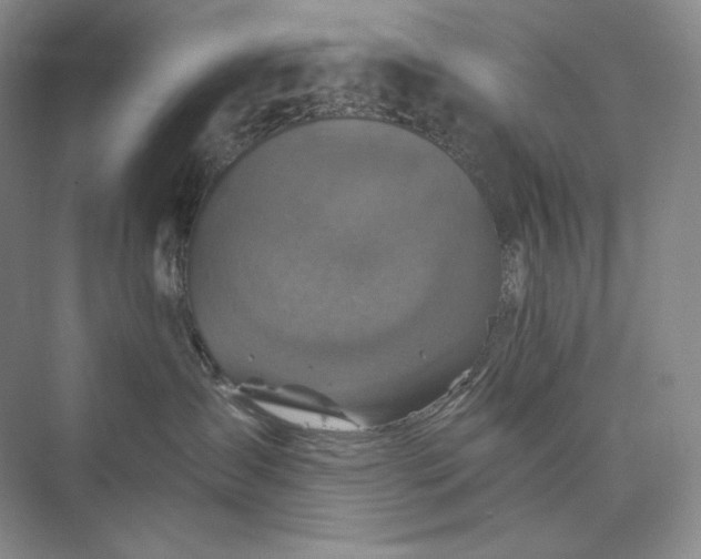 X0000075900431200609291737