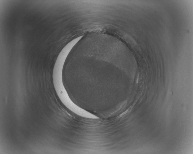 X0000075900432200609291737