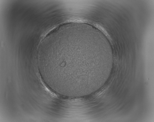 X0000075900433200609291736