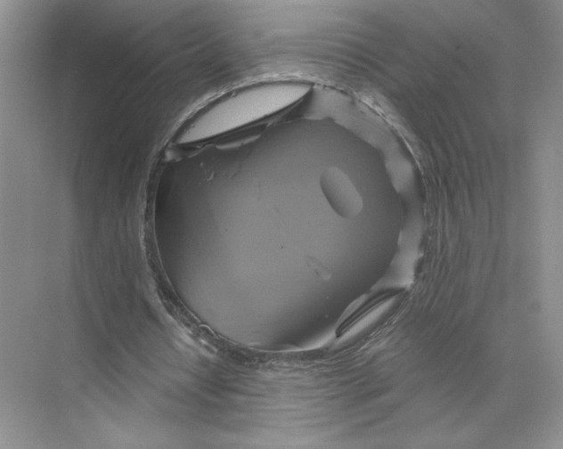 X0000075900434200609291736