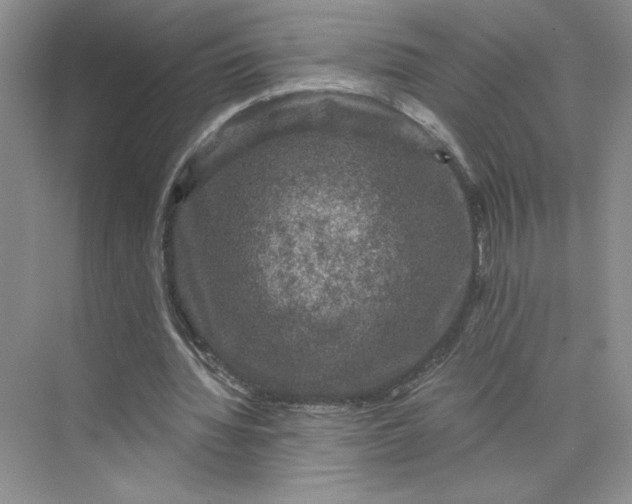 X0000075900436200609291736