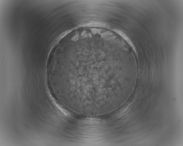 X0000075900437200609291736