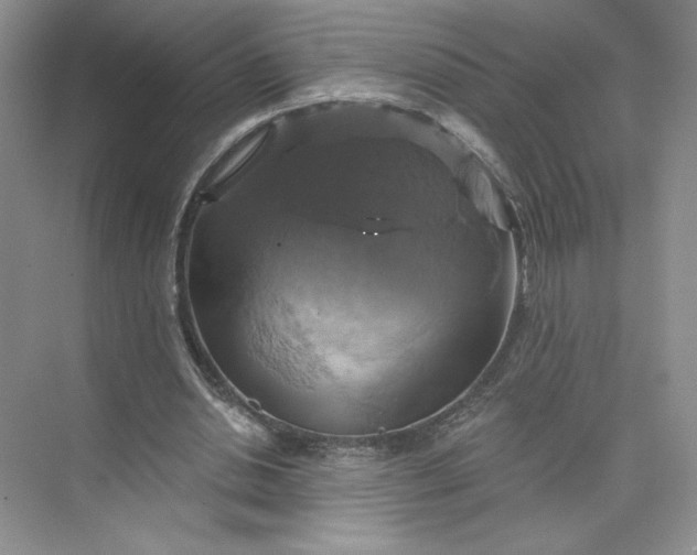 X0000075900438200609291736