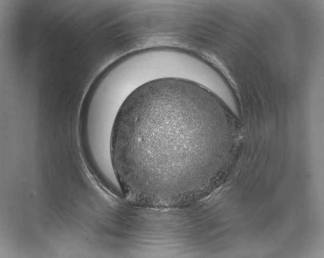 X0000075900439200609291736