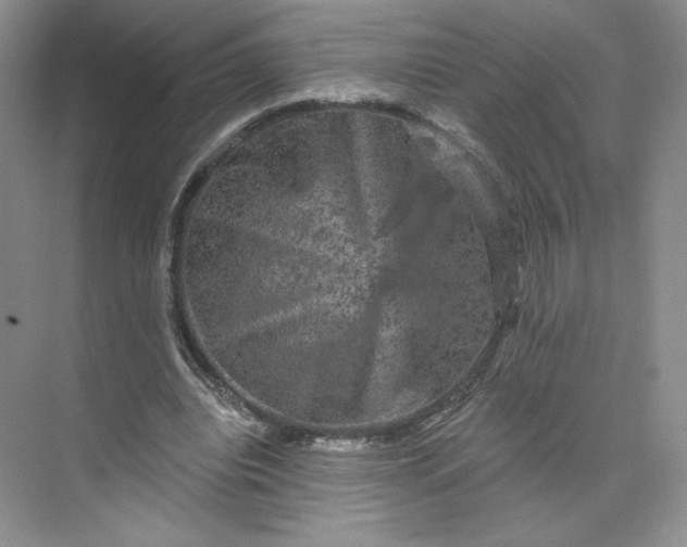 X0000075900440200609291736