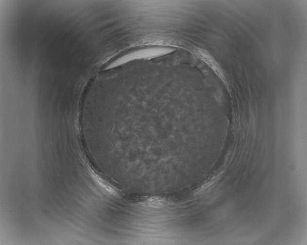 X0000075900441200609291736