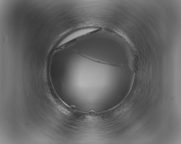 X0000075900442200609291736